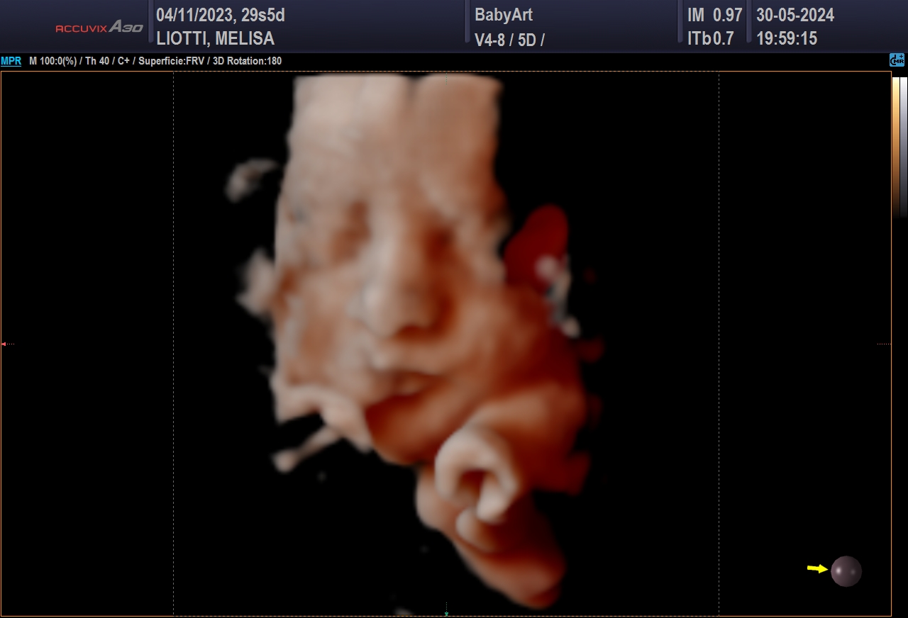 JULIA DE MELISA LIOTTI_0036.JPG